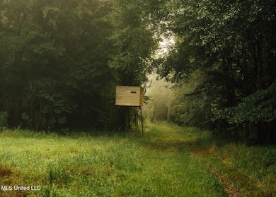 Castens Creek Pics-8