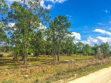 21051 Carter Rd, Estero, FL 33928 - photo 4