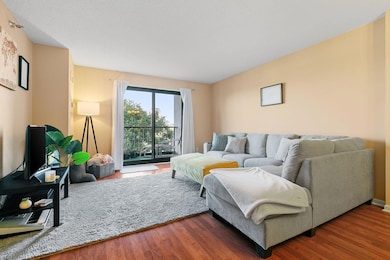 401 S 1st St unit 213, Minneapolis, MN 55401 - photo 4