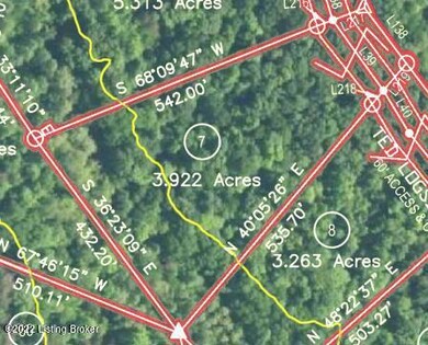 Lot View of Survey Plat