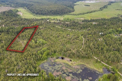 000 Hesseltine Lot 1 Rd, Valley, WA 99181 - photo 2