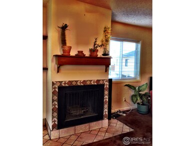 Living Room Fireplace