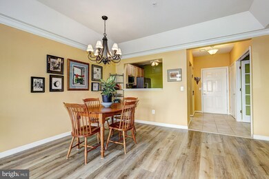 7315 Brookview Rd unit 304, Elkridge, MD 21075 - photo 5