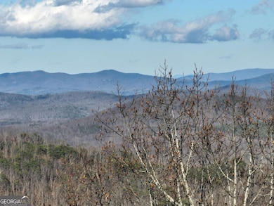 281 Andes Ridge, Ellijay, GA 30536 - photo 5