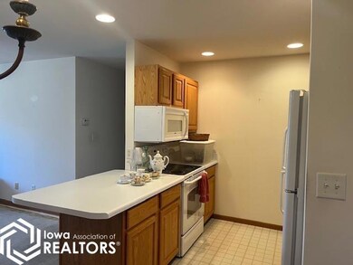 1806 E Maple Grove Ln, Mount Pleasant, IA 52641 - photo 7