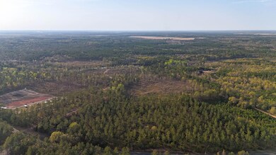 White Pond Ridge Estate SC Land for Sale