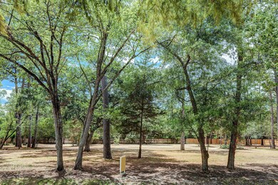 421 Blalock Rd, Houston, TX 77024 - photo 6