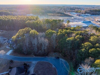 Lots 6 and 7 Lea Christine Cir NE, Arab, AL 35016 - photo 4