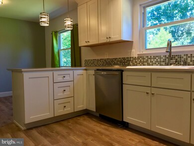 313 Sacred Heart Ln, Reisterstown, MD 21136 - photo 3