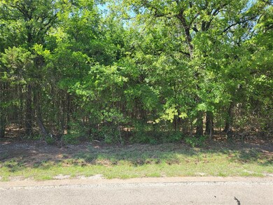 24044 Stonewood Dr, Whitney, TX 76692 - photo 2
