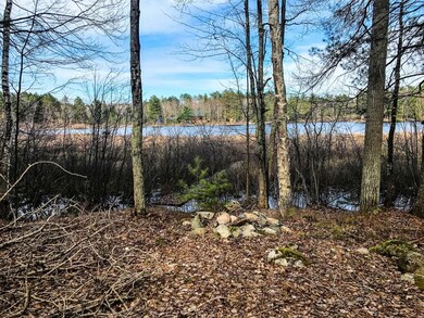 Lots1&19 Whitetailed Deer Dr, Tomahawk, WI 54487 - photo 5