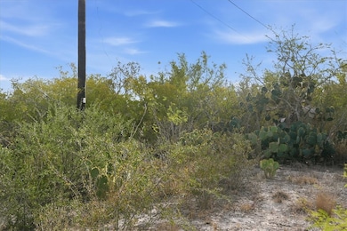 00 Ranger Dr, Sandia, TX 78383 - photo 3