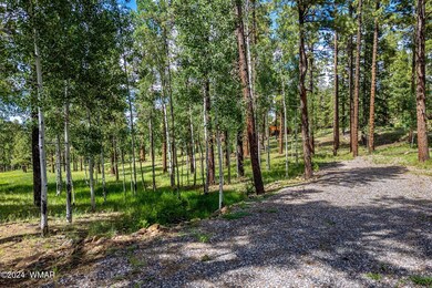 7 N1063, Greer, AZ 85927 - photo 2