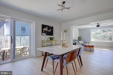 5208 10th Place S, Arlington, VA 22204 - photo 5