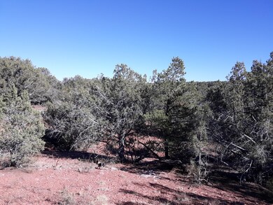 Lot 68b Juniperwood Ranch, Ash Fork, AZ 86320 - photo 3