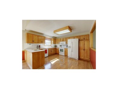 Newer Appliances and Plenty of Cabinet Space