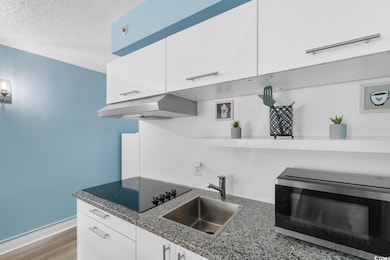 Sea Mist Resort- Driftwood unit 20804, Myrtle Beach, SC 29577 - photo 7