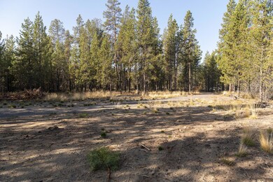 24-web-or-mls-55166 Tamarack Rd, Bend-24