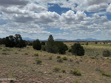 2794 E Redwood Ln unit 101, Williams, AZ 86046 - photo 4