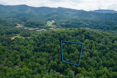 0 Friendly Ln unit 624782, Stanley, VA 22851 - photo 2