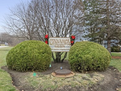 Neighborhood Amenities