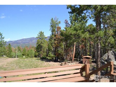 0 Rough Horn Rd unit 688436, Bellvue, CO 80512 - photo 5