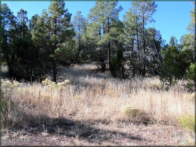 Southern view
