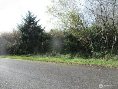 12 Driftwood St, Ocean Shores, WA 98569 - photo 2