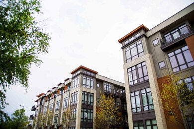 Walnut st-0036.jpg