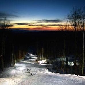 Lot 28 Breakaway Trail S unit 28, Mars Hill, NC 28754 - photo 5