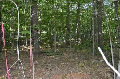 3 Brown Rd unit Lot 3, Wolfeboro, NH 03894 - photo 6