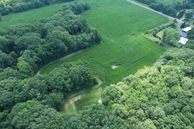 8499 Kruger Rd Rd, Three Oaks, MI 49128 - photo 5