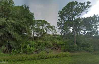 12215 Cassino Ave, Port Charlotte, FL 33953 - photo 4