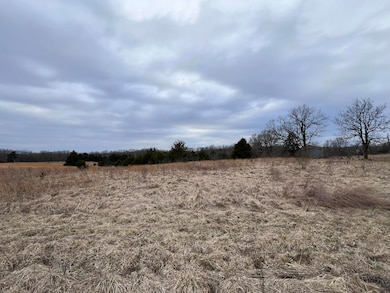 5539 Sillivan Dr, Fulton, MO 65251 - photo 5