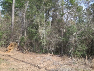 0 Gilmer Rd unit LotWP001, Taylorsville, MS 39168 - photo 4