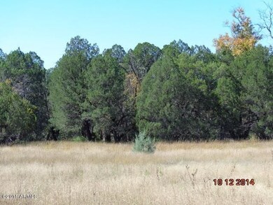 lots of trees along the creek