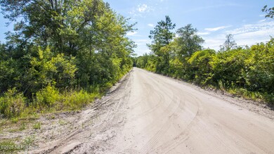 IMG_7533