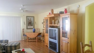 LIVING ROOM ...GREAT ROOM