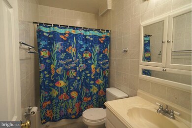 6707 Conway Ave, Takoma Park, MD 20912 - photo 2