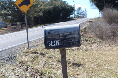 8047 Webster Rd (Rader Family Farm) unit 8047, Summersville, WV 26651 - photo 5