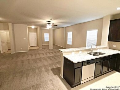 10335 Mill Path, San Antonio, TX 78254 - photo 6