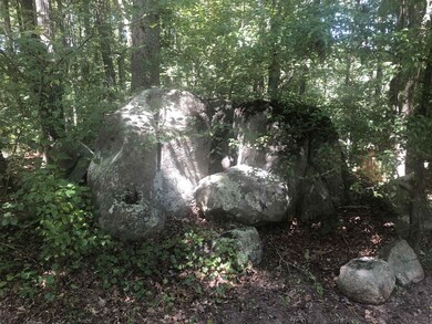 460 Moore Mountain Rd, Pittsboro, NC 27312 - photo 6