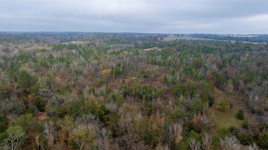 000 County Road 3272, Frankston, TX 75763 - photo 4