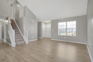 07_DSC00008_mls