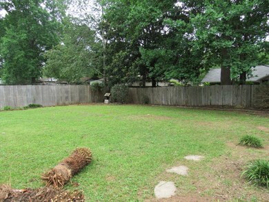 Back yard