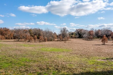 TBD 3 AC E County Road 4896, Boyd, TX 76023 - photo 3