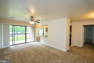 11216 Chestnut Grove Square unit 119, Reston, VA 20190 - photo 6