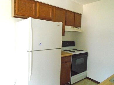 1002 Apache Dr unit 6, Collinsville, IL 62234 - photo 4