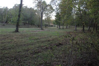 0 Asher Ct unit 1062605, Siloam Springs, AR 72761 - photo 6