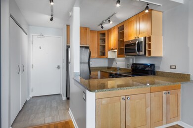 450 W Briar Place unit 4L, Chicago, IL 60657 - photo 3